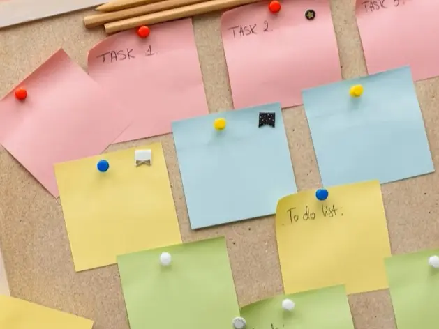 Слика за совет 1